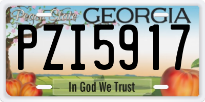 GA license plate PZI5917