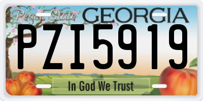 GA license plate PZI5919