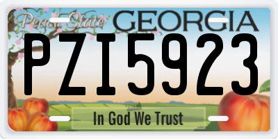 GA license plate PZI5923