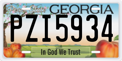 GA license plate PZI5934