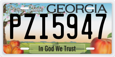 GA license plate PZI5947