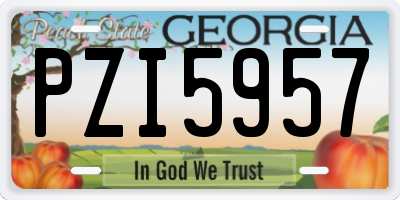GA license plate PZI5957