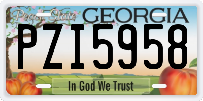 GA license plate PZI5958