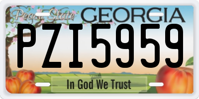 GA license plate PZI5959