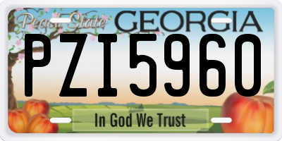 GA license plate PZI5960