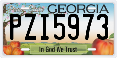 GA license plate PZI5973