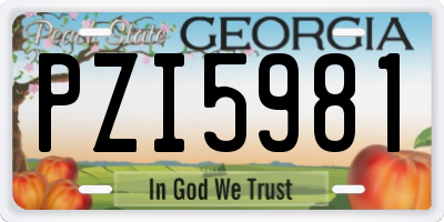 GA license plate PZI5981