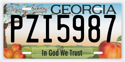 GA license plate PZI5987