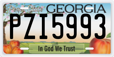 GA license plate PZI5993