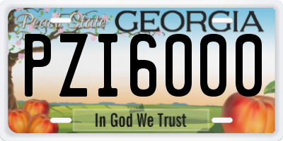 GA license plate PZI6000