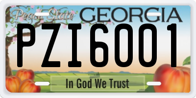 GA license plate PZI6001