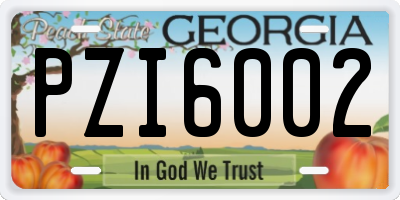 GA license plate PZI6002