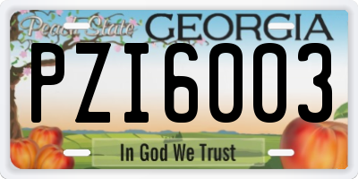 GA license plate PZI6003