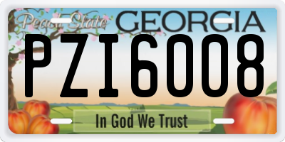 GA license plate PZI6008
