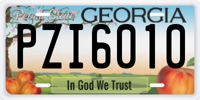 GA license plate PZI6010