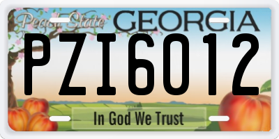 GA license plate PZI6012