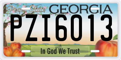 GA license plate PZI6013