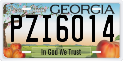 GA license plate PZI6014