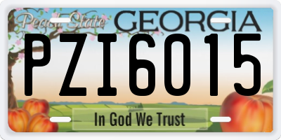 GA license plate PZI6015