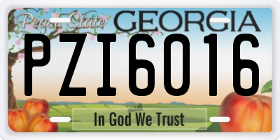 GA license plate PZI6016