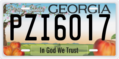 GA license plate PZI6017