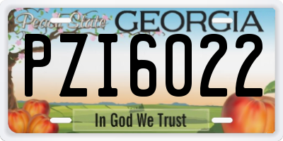 GA license plate PZI6022
