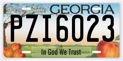 GA license plate PZI6023