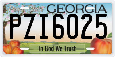 GA license plate PZI6025