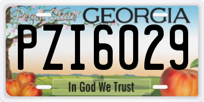 GA license plate PZI6029