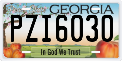 GA license plate PZI6030