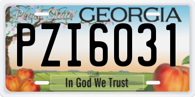 GA license plate PZI6031