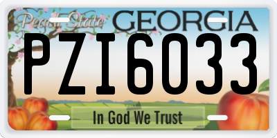 GA license plate PZI6033