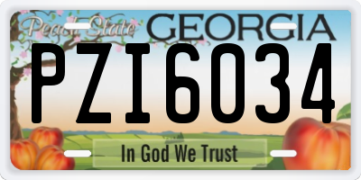 GA license plate PZI6034
