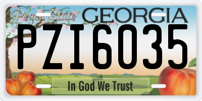 GA license plate PZI6035