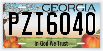 GA license plate PZI6040