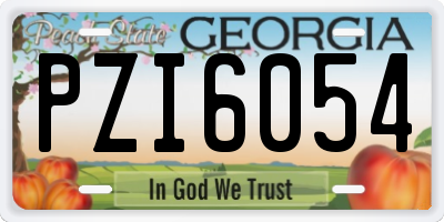 GA license plate PZI6054