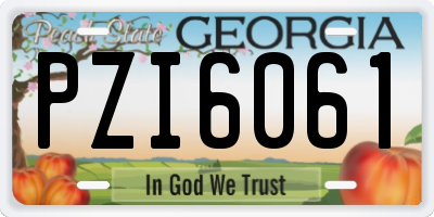 GA license plate PZI6061