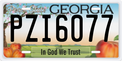 GA license plate PZI6077
