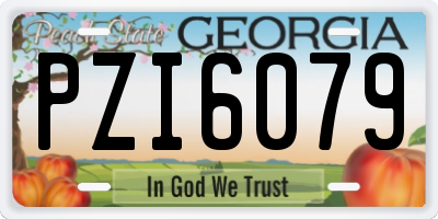 GA license plate PZI6079