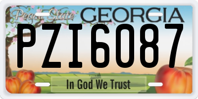 GA license plate PZI6087