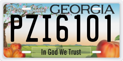 GA license plate PZI6101