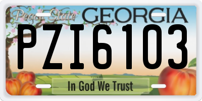 GA license plate PZI6103