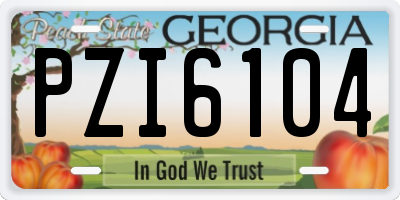 GA license plate PZI6104