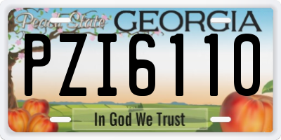 GA license plate PZI6110