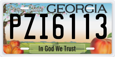 GA license plate PZI6113