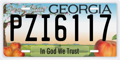 GA license plate PZI6117