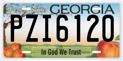 GA license plate PZI6120
