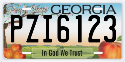 GA license plate PZI6123