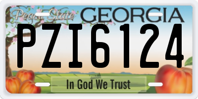 GA license plate PZI6124