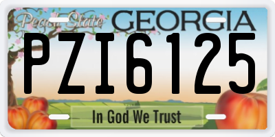 GA license plate PZI6125